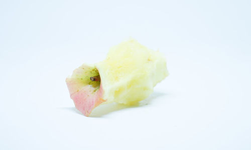 Close-up of sliced slices over white background