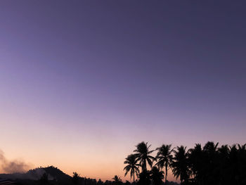 Low angle view of silhouette trees against sky during sunset