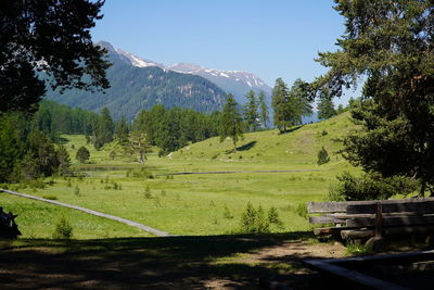 Scenic view of trees on field against mountains