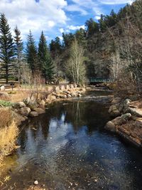 Reflection of trees in water against sky
