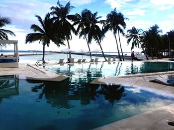 Palm trees by swimming pool against sky