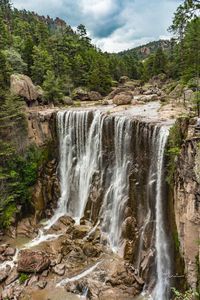 Scenic view of waterfall in forest