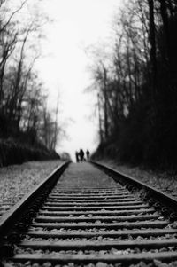 Railroad track amidst trees against sky