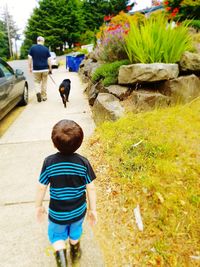 Rear view of boy walking by plants