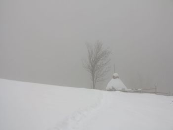 Bare trees on snow covered landscape