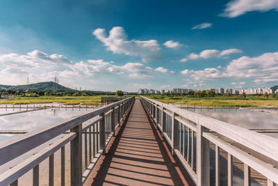 Wood deck in wetland park on a sunny day