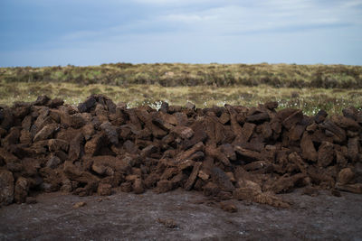 Stack of logs on field against sky