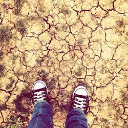 Low section of person standing on ground