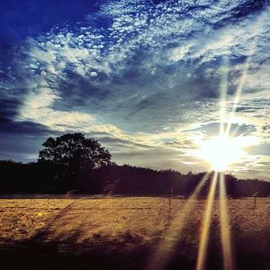 Scenic view of field against sky at sunset