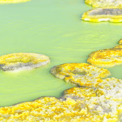 High angle view of dessert in water