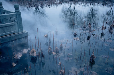 Frozen lake during winter