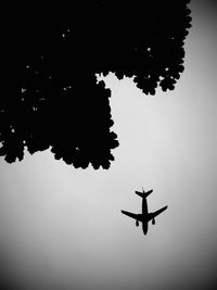 Low angle view of silhouette airplane against clear sky