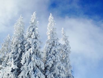 High section of snow covered trees against cloudy sky