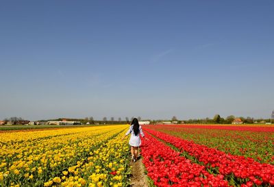 Rear view of person standing on field against sky