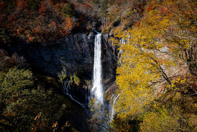 Waterfall in forest during autumn