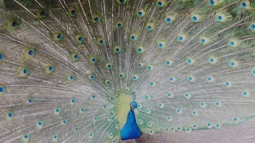 Full frame shot of multi colored wall