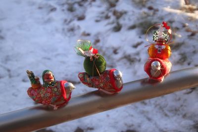 Close-up of strawberry on plant