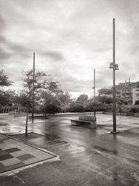 Trees against cloudy sky