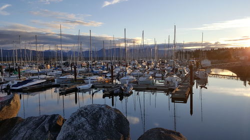 Boats in harbor