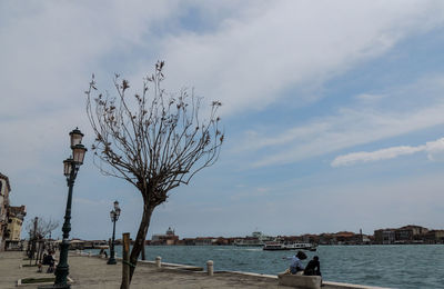 Bare tree by sea against sky