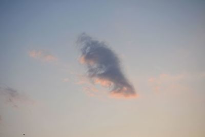 Low angle view of vapor trails in sky