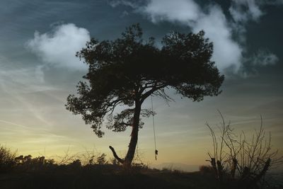 Low angle view of silhouette tree against sky during sunset