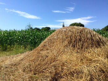 Hay bales on field against sky