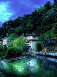 Scenic view of lake by trees against sky