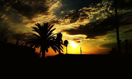 Low angle view of silhouette trees against dramatic sky