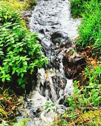 Stream flowing through rocks in forest