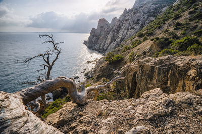 Rock formations in sea against sky