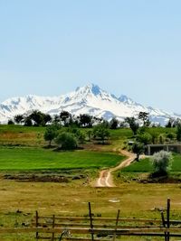 Scenic view of field against clear sky