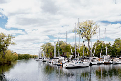 Boats in marina