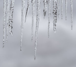 Close-up of icicles against sky