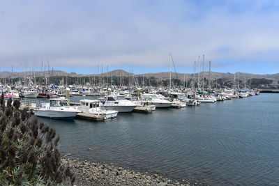 Sailboats moored in harbor against sky