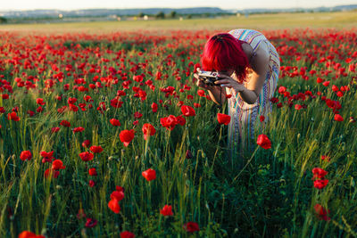 Redheaded woman photographing poppy flowers through camera at sunset