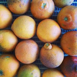 Full frame shot of oranges on table