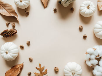 Fall composition with different leaves, pumpkins, acorns on beige background.