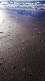 High angle view of footprints on wet beach