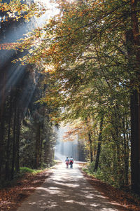 People walking on road