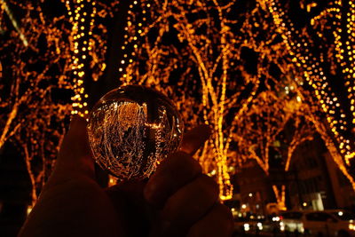 Close-up of hand holding illuminated tree at night