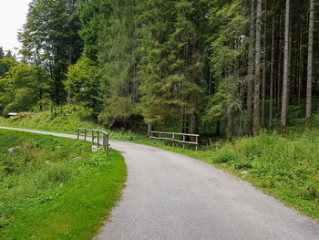 Road amidst trees in forest