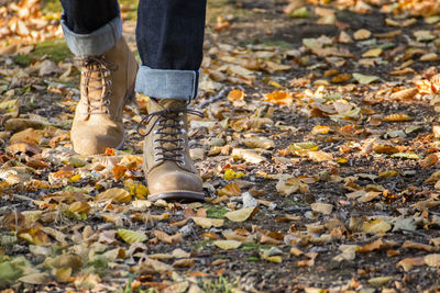 Low section of person standing in the woods during autumn