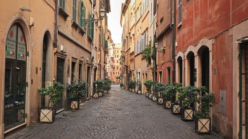 Narrow alley amidst buildings in city