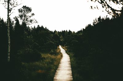 Boardwalk amidst trees in forest against clear sky