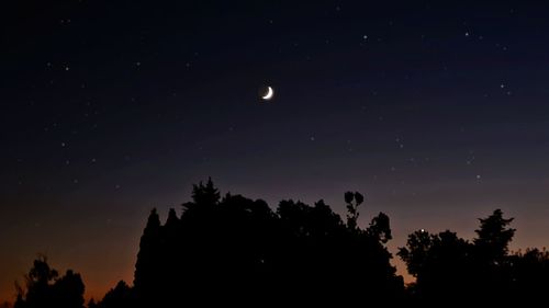 Low angle view of silhouette trees against sky at night