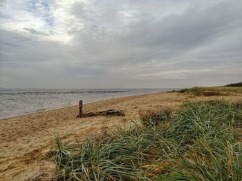 Scenic view of beach against sky