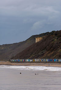 Cromer coast surfers