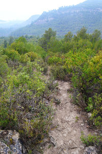 Scenic view of mountains