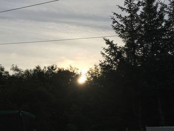 Low angle view of silhouette trees against sky at sunset